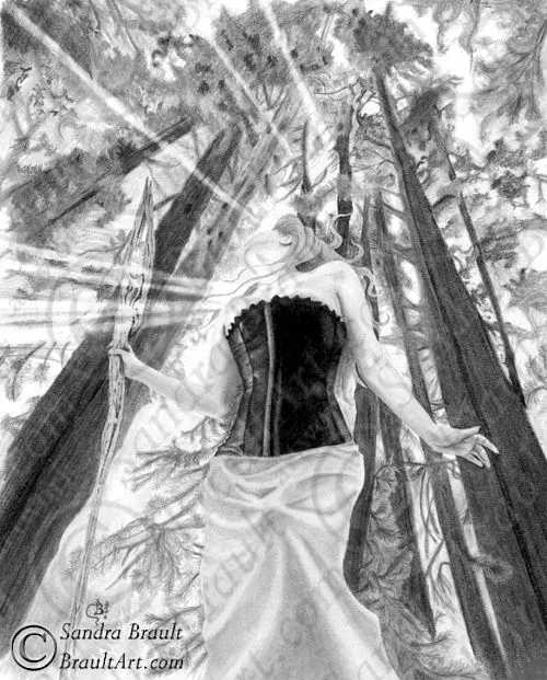 Something In The Trees