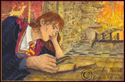 A Good Book By The Fire